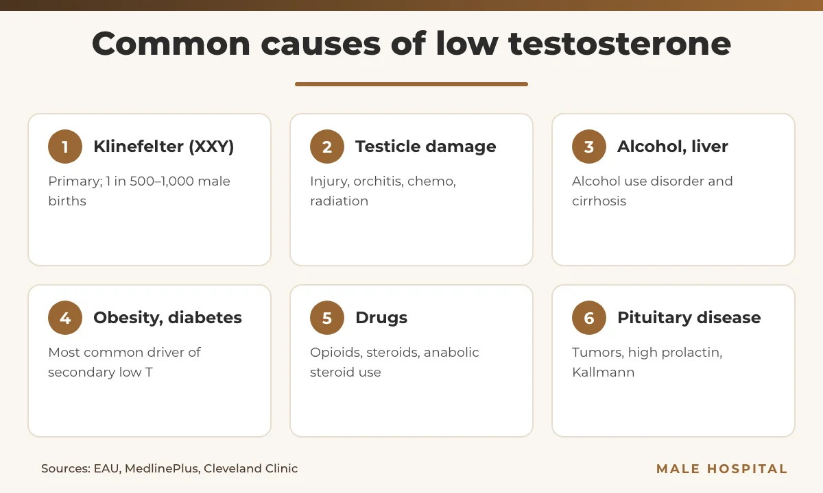 Infographic of six common causes of low testosterone, primary and secondary