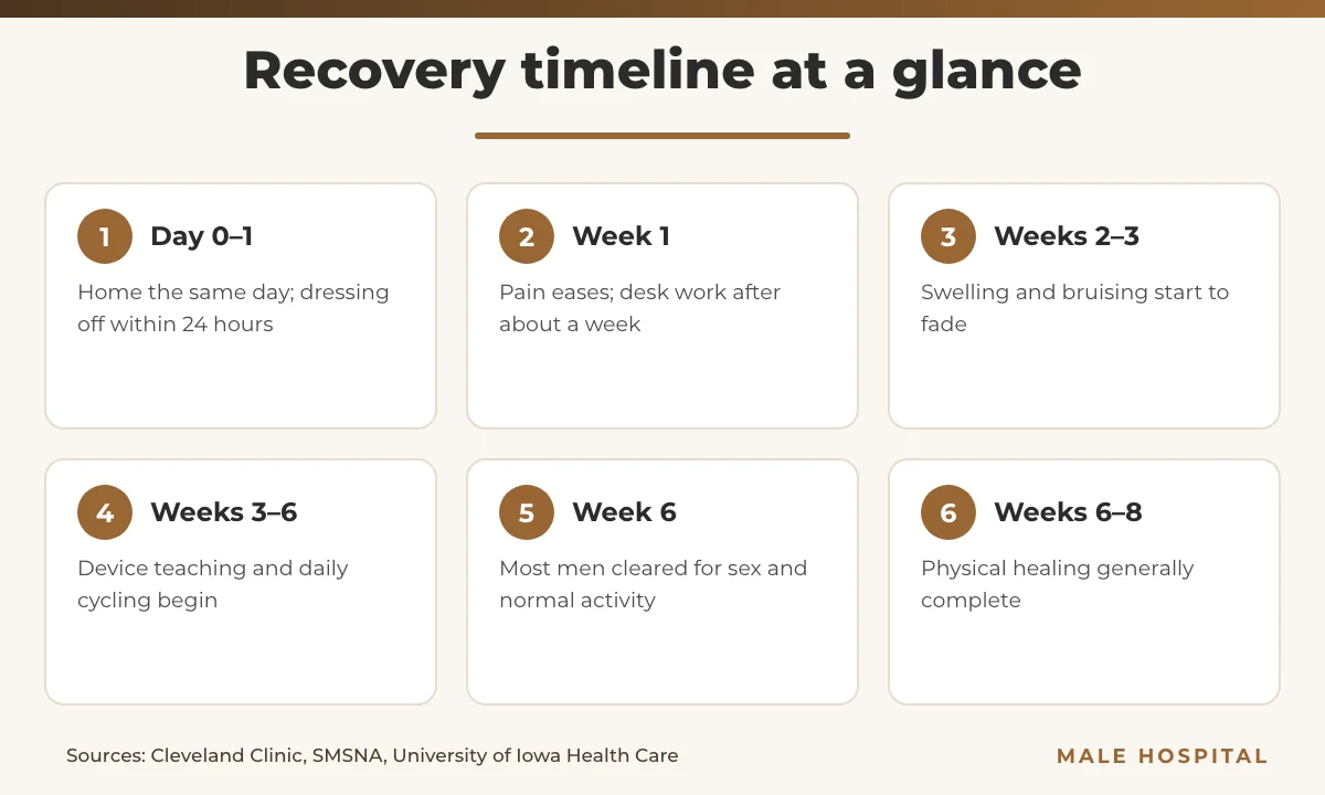 Penile implant recovery timeline infographic from day of surgery to eight weeks
