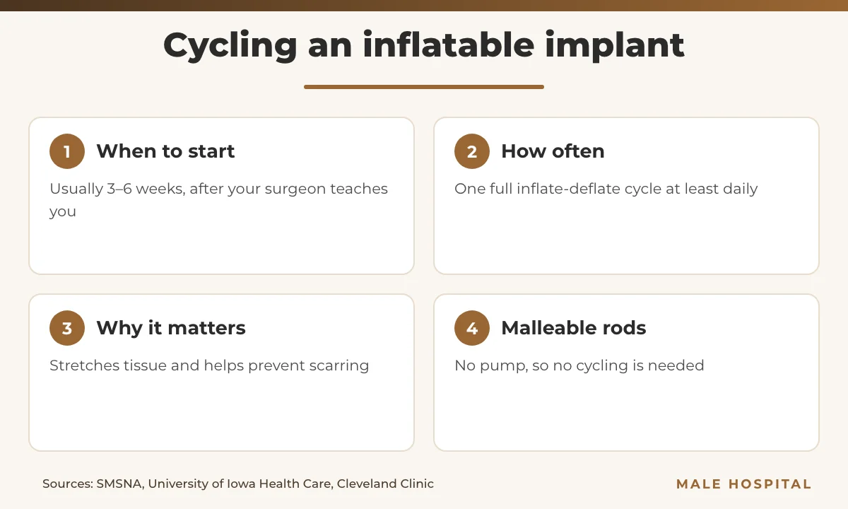 Infographic on penile implant recovery cycling: when to start, how often and why
