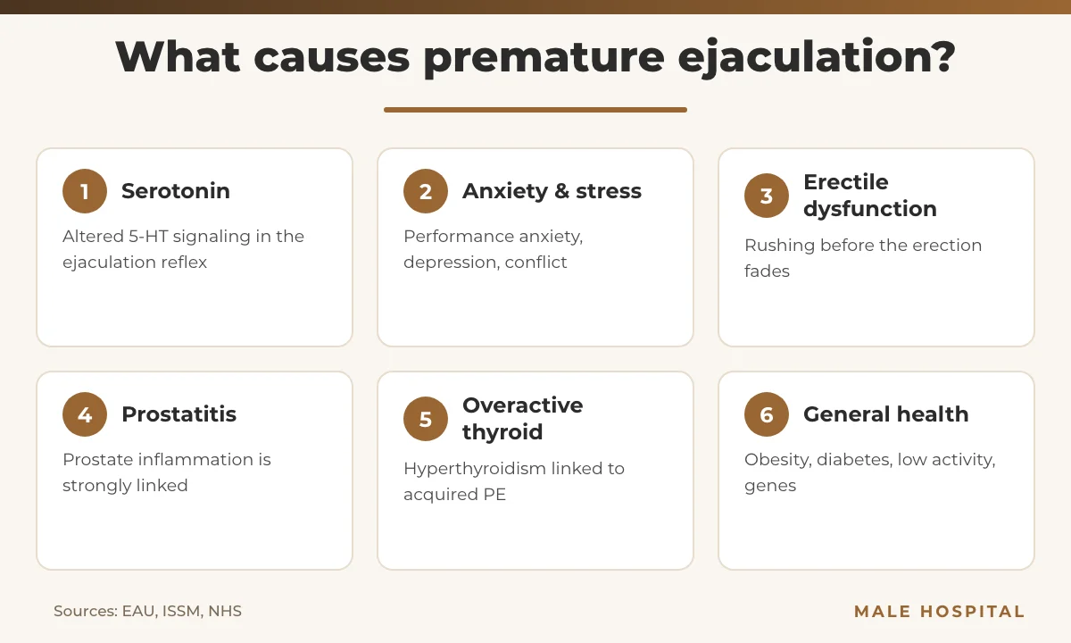 Infographic of premature ejaculation causes: serotonin, anxiety, erectile dysfunction, prostatitis, thyroid, general health