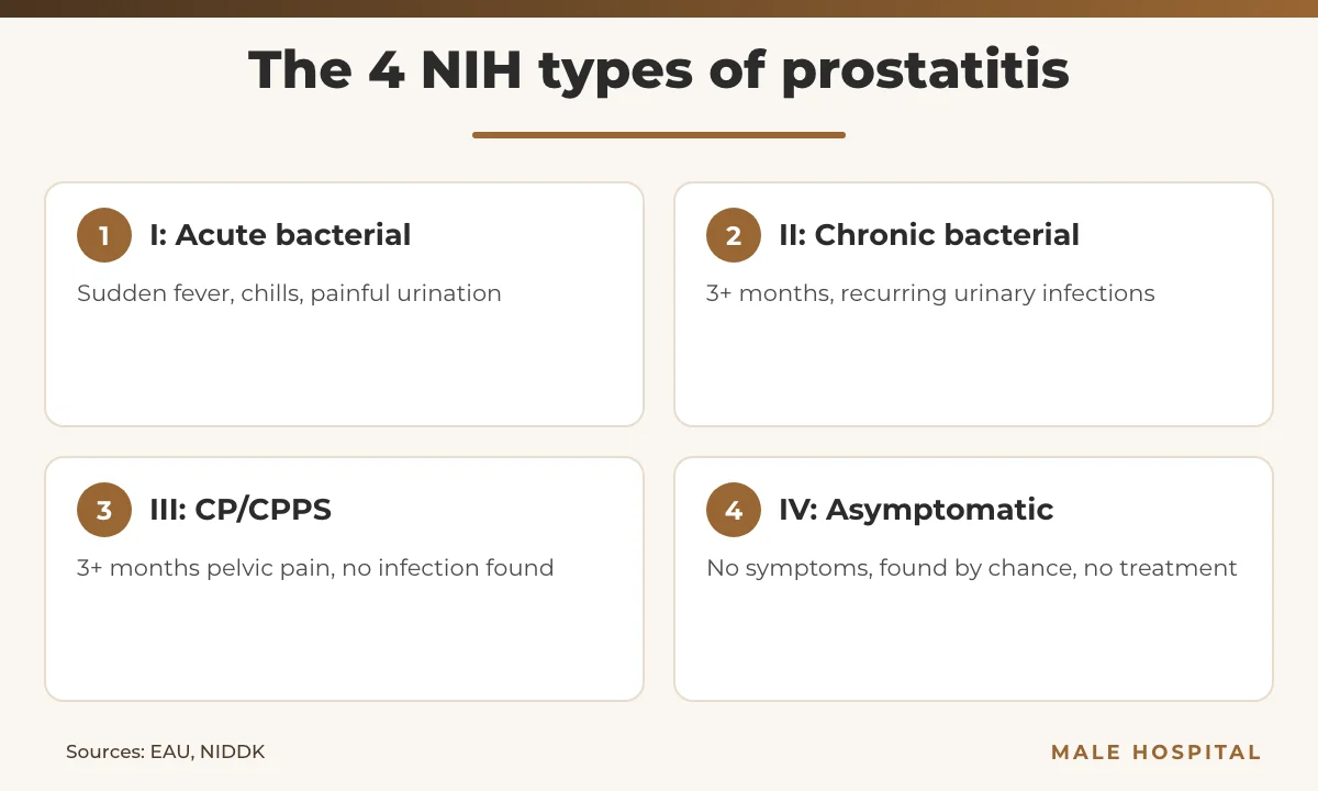 Infographic of the four NIH types of prostatitis: acute bacterial, chronic bacterial, CP/CPPS and asymptomatic